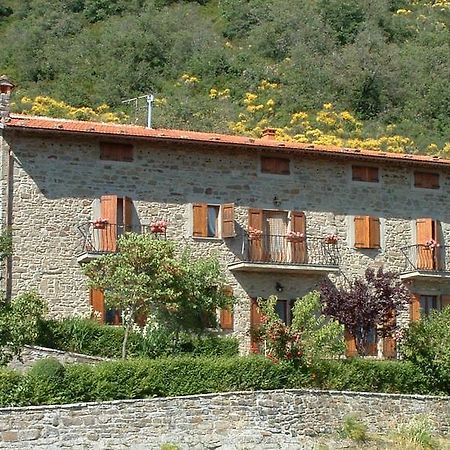 Casa Ivan By Posarellivillas Montanare Zimmer foto